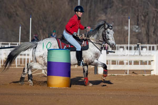 Western mounted games - horse and rider in barrel race